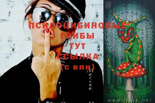 ГАЛЛЮЦИНОГЕННЫЕ ГРИБЫ Алексин